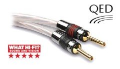 QE-1315 RUBY ANNIVERSARY EVOLUTION / Metre (uç hariç)