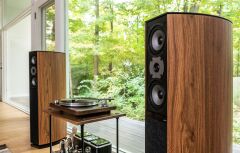 D 590 Special Edition Walnut (Ceviz) Hoparlör / Çift Fiyatı